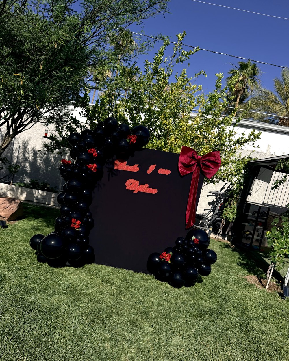 A black square backdrop with a deep red bow and black balloon garland on a lawn